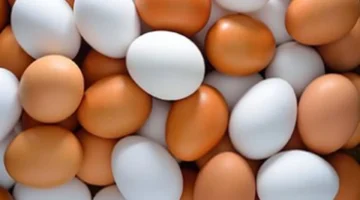 سعر البيض في كفر الشيخ يرتفع إلى 4 جنيهات اليوم